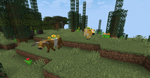 sunflower and dandelion mooblooms