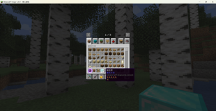 Minecraft_ 1.20.1 2026_7_8 13_50_54.png