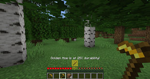 Preview In Game