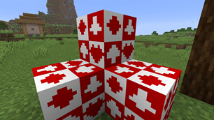 BLOCKS