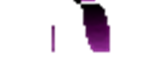 elytra.png