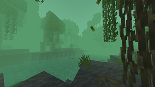 mangrove swamp