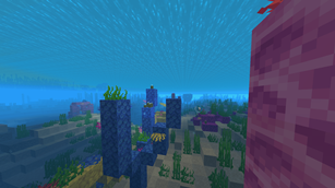 underwater