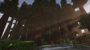 2026-07-08_20.08.18_optimized_2000.png