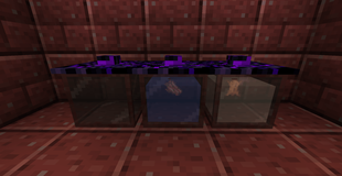 Curing Jar.png