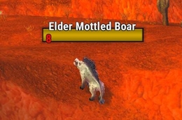 Neut mob.jpg