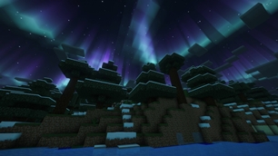 Snowy Night