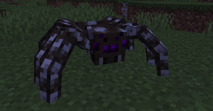 Cow Broodling