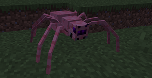 Pig Broodling