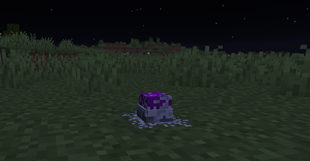 Broodling Egg