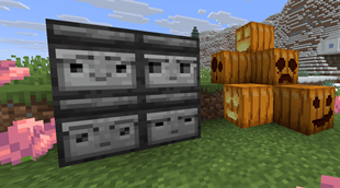 Observer & Pumpkin Faces