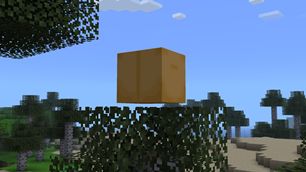 The box