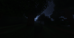 Night - Moon.png