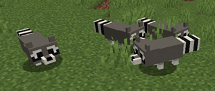 Capture.PNG
