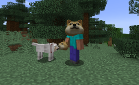thirdpersonview.png
