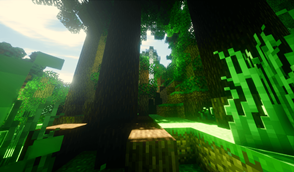 forest