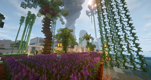 Minecolony Farm II