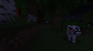 Night Wolves 1.png