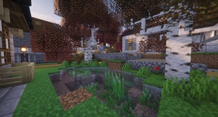 Zephydonia Pond