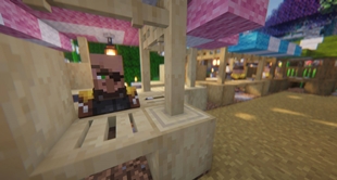 Villager at market