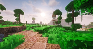 Jungle path & Desert Towers