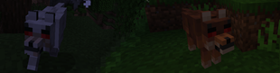 BetterWithWolves_Banner_1.png