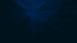 2026-07-10_02.01.43_optimized_20.png