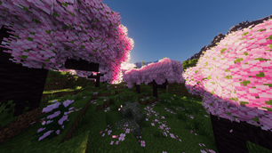 2026-07-10_02.22.34_optimized_2000.png