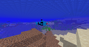 It`s Just Shark.... Wait, What This?!
