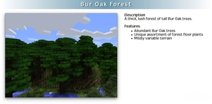 RealWorld-Mod-Screenshots-5.jpg
