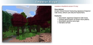 RealWorld-Mod-Screenshots-6.jpg