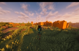 Enhanced Village