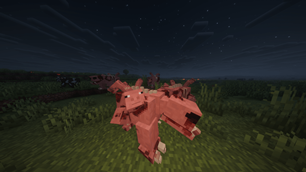 pig grup (3).png