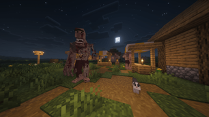 Villager (5).png