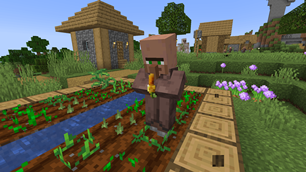 A villager carefully inspecting Shalbin's Flower of Luck