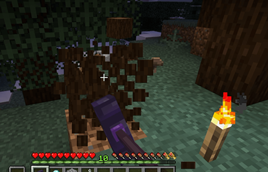 demo3.png