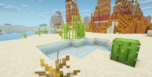 oasis