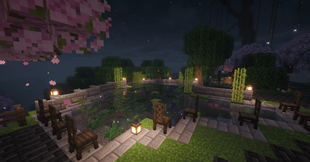 Coinhaven Fishing Pond