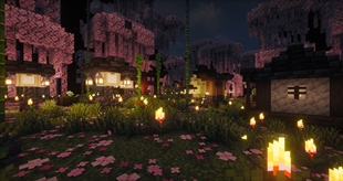 image20_under2MB.jpg