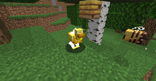 2026-07-10_06.37.14.png
