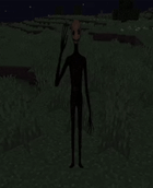 entity.gif