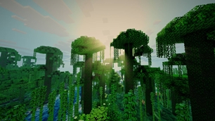 Jungle