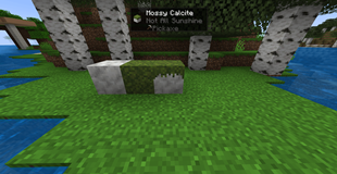 A mossy calcite block next to it's vanilla counterparts.