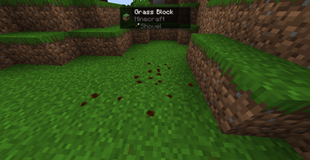 Blood splatters, left over from a slain mob.