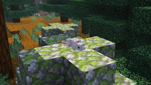 imresizer-Screenshot (1406).jpg