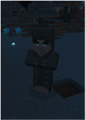 Sculk Iillusioner