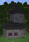 Witchy hat library.png