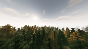 The Landscape