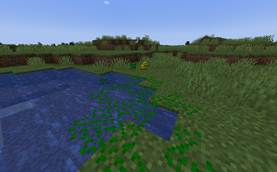 duckweed.png