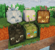 image2.png